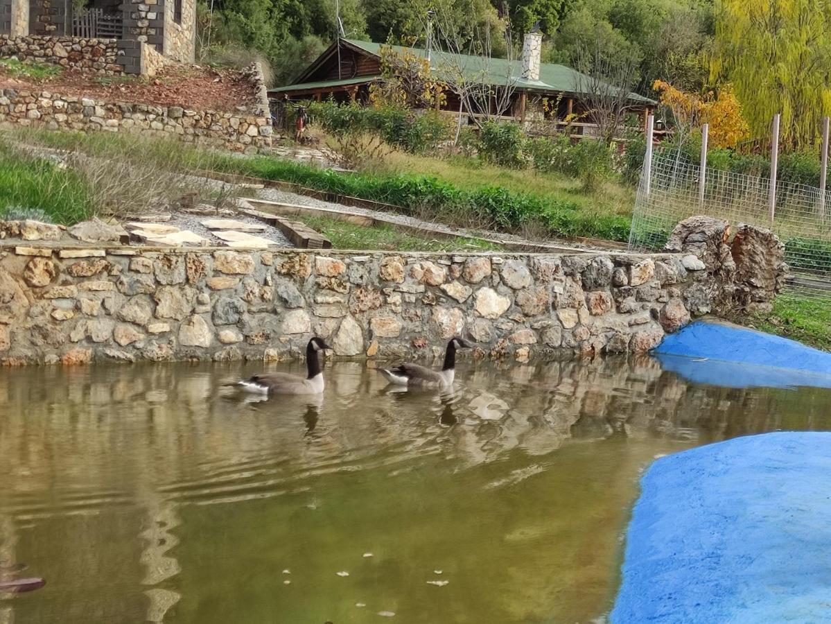 Oneiropagidasuites Kalávrita Kültér fotó